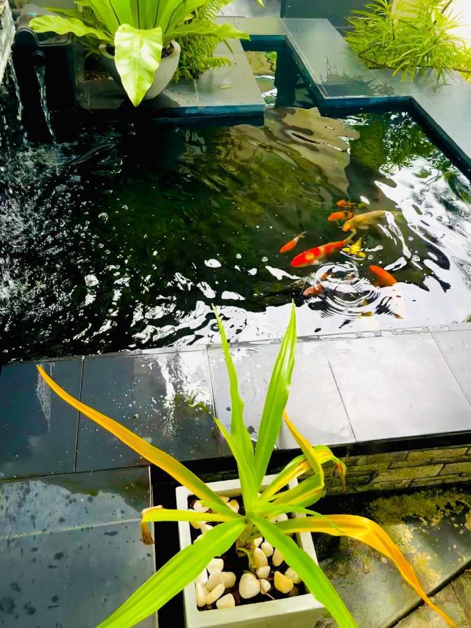 Hotel Travellers Halt Ratnapura Exterior foto